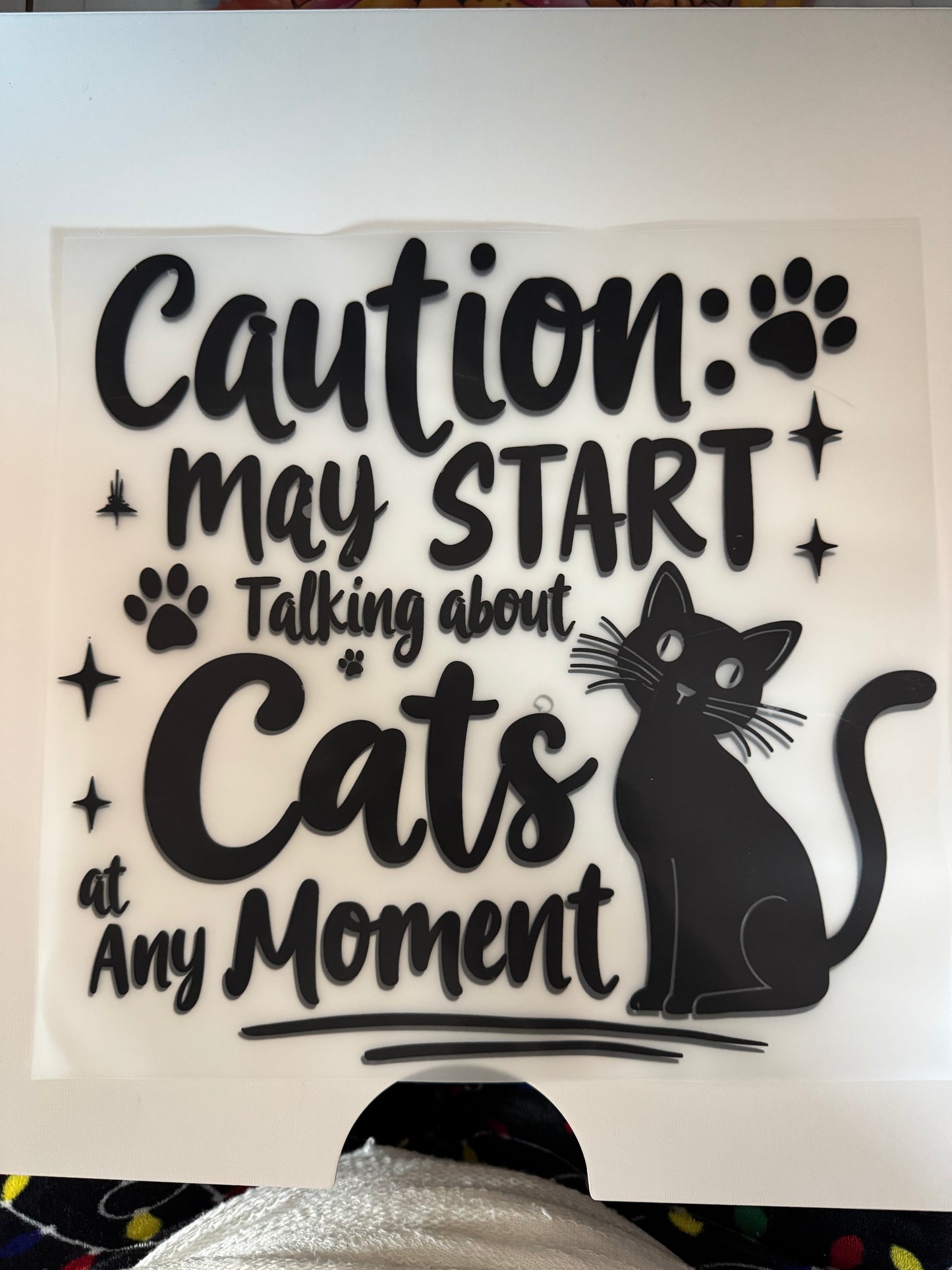 Caution cats S13