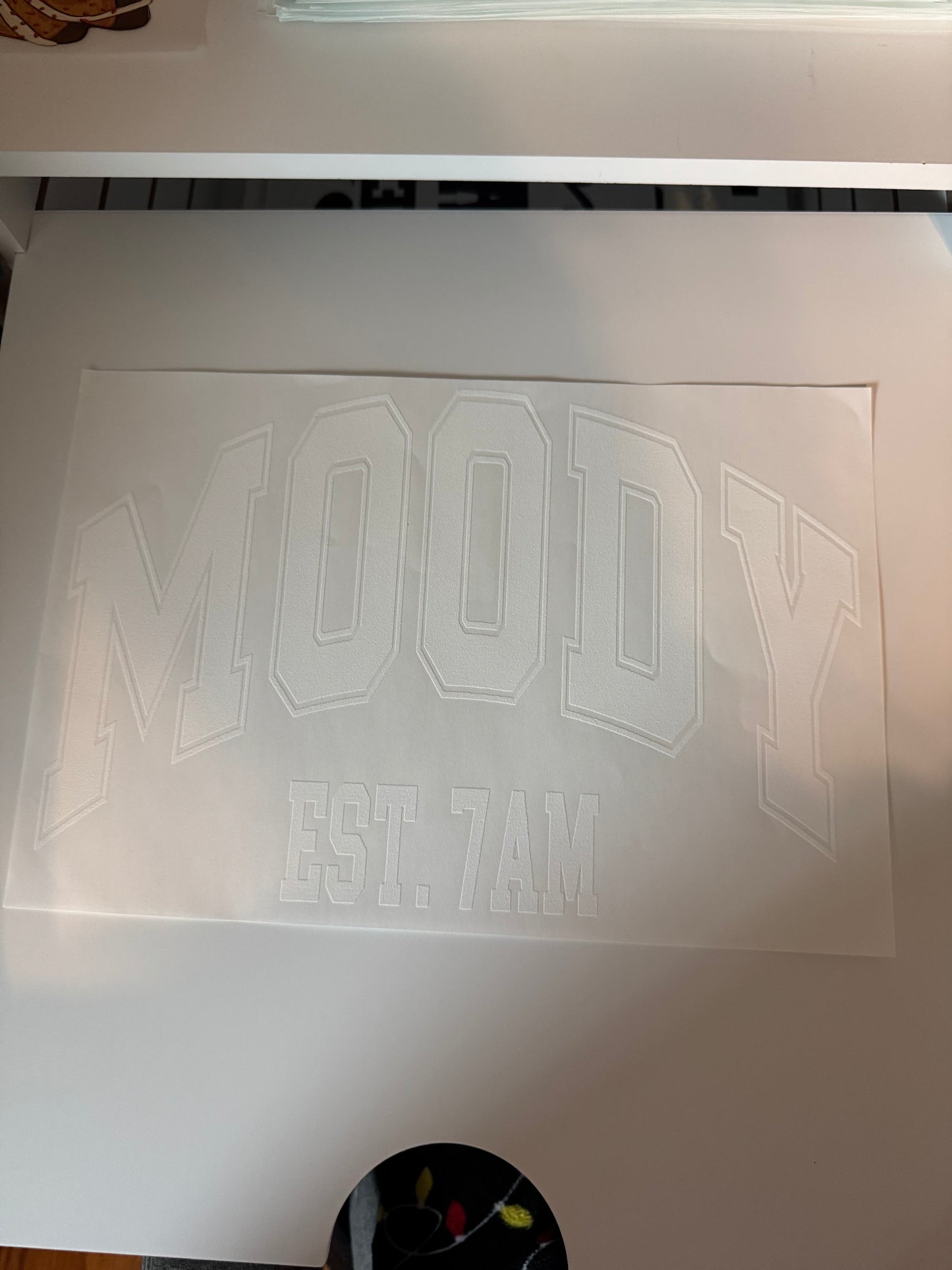 Moody S23