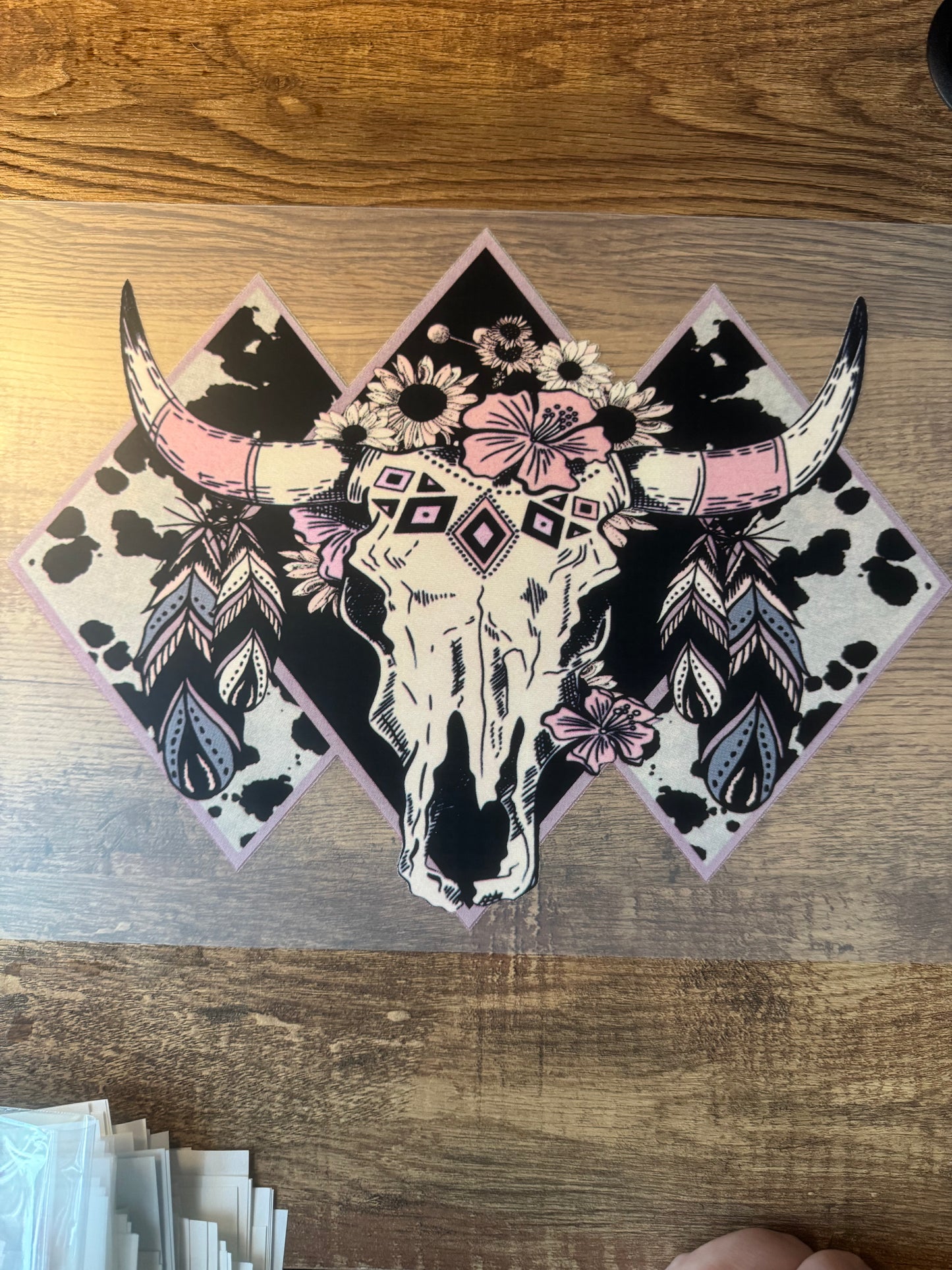 X13 western cow skull
