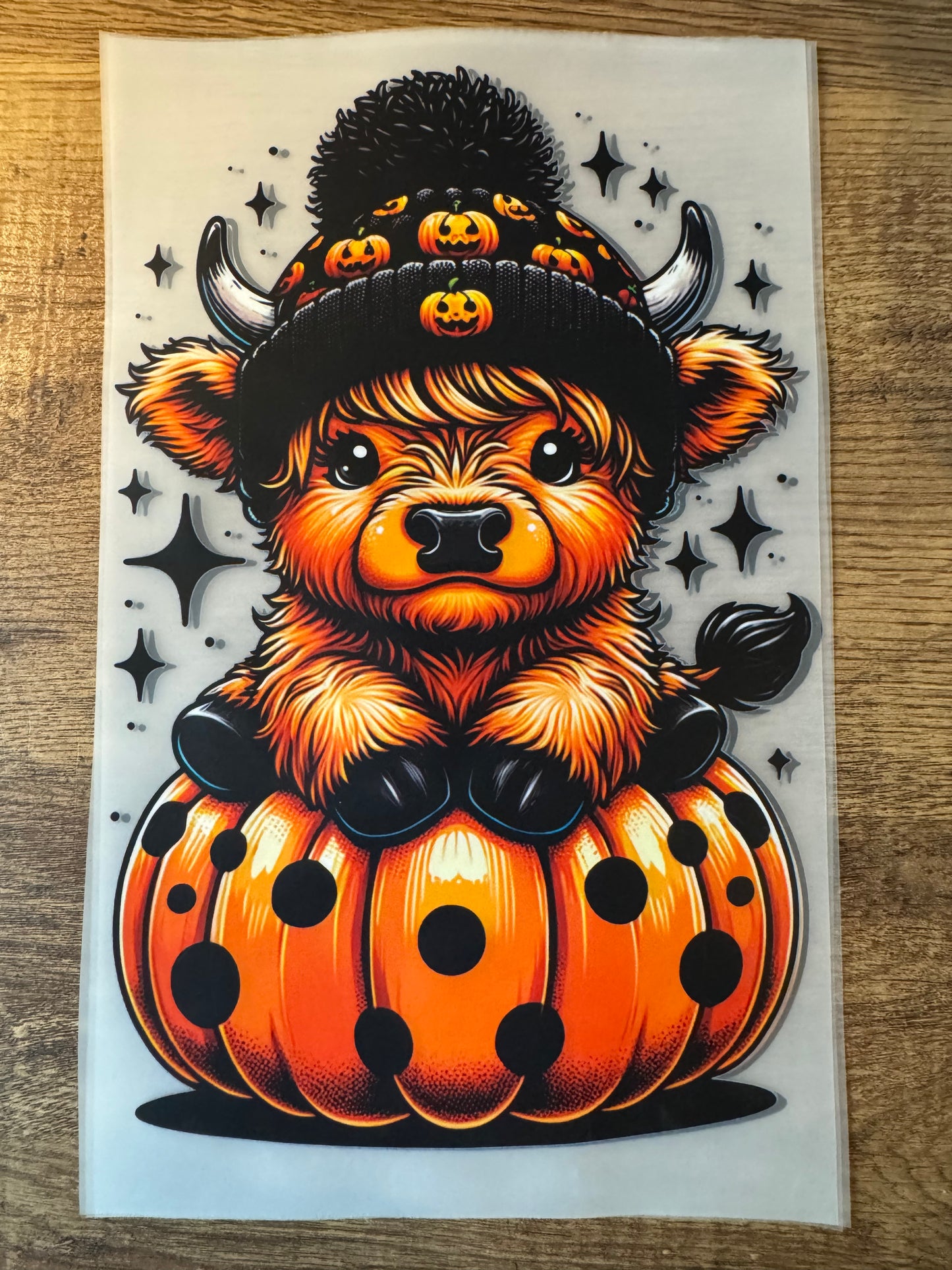F39 highland pumpkin