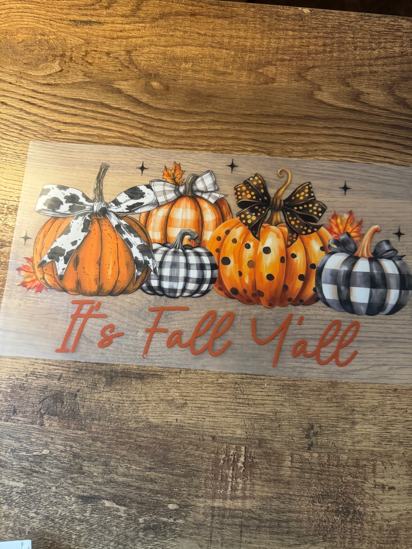 F33 Fall y'all pumpkins