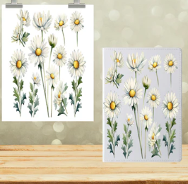 Daisys