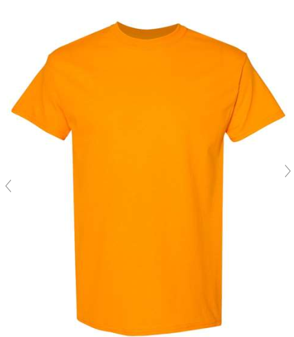 Adult T-shirts
