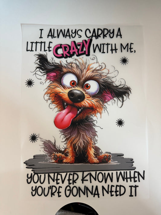 Little Crazy S05