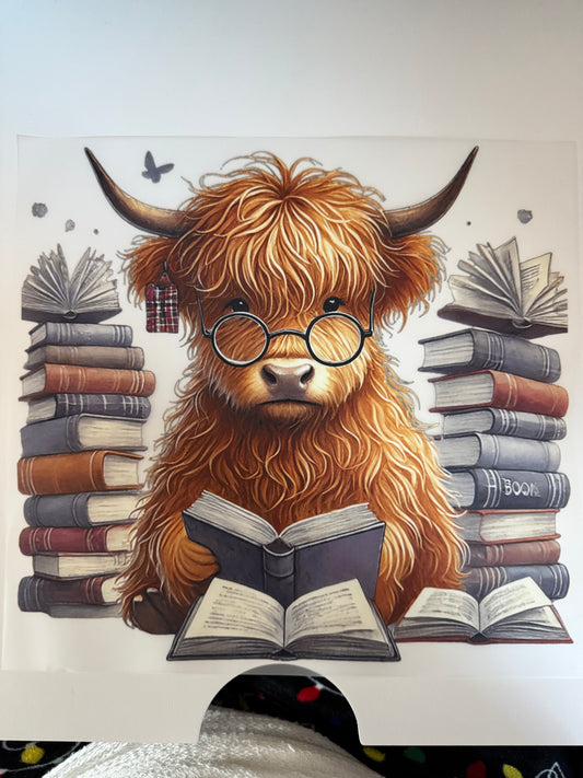 Book cow B01