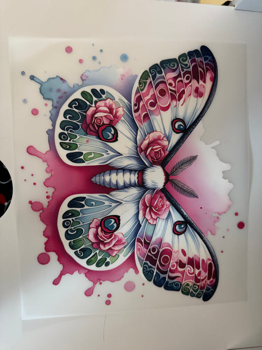 Pink moth A01