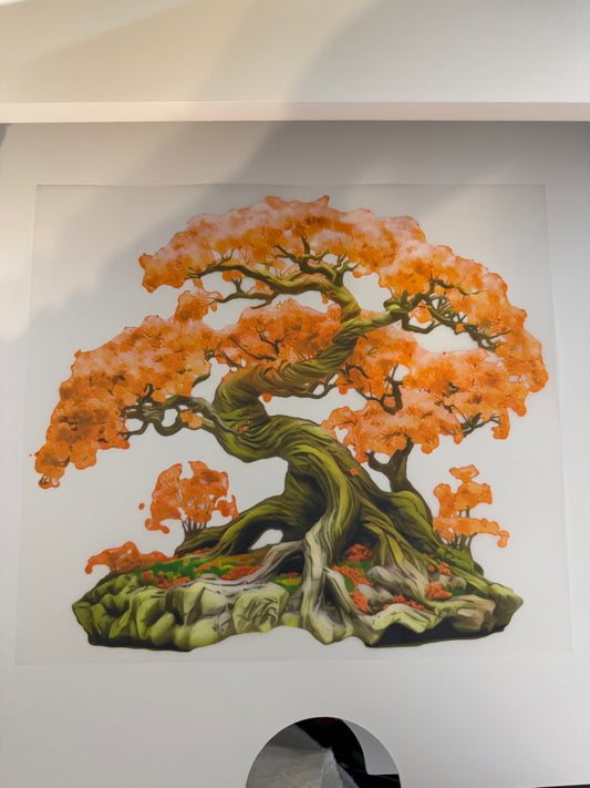 Orange Bonsai Tree X04
