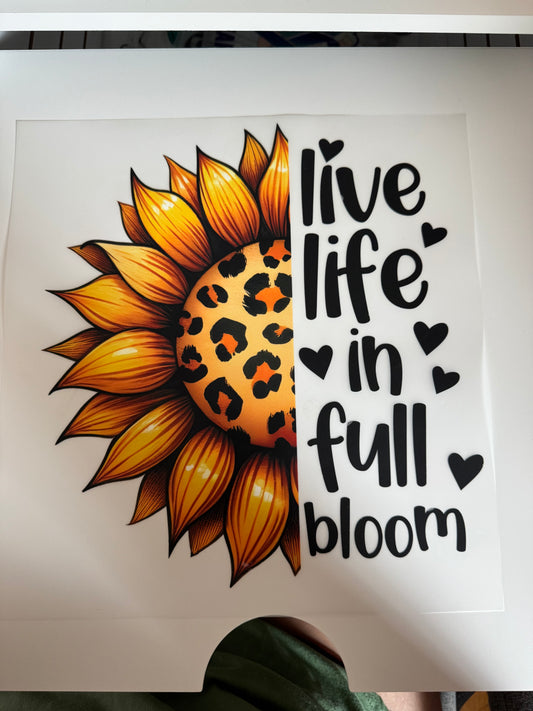 In full bloom I15