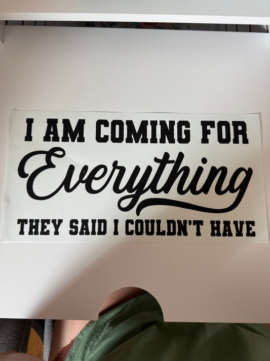 Everything they said I couldn't have I13