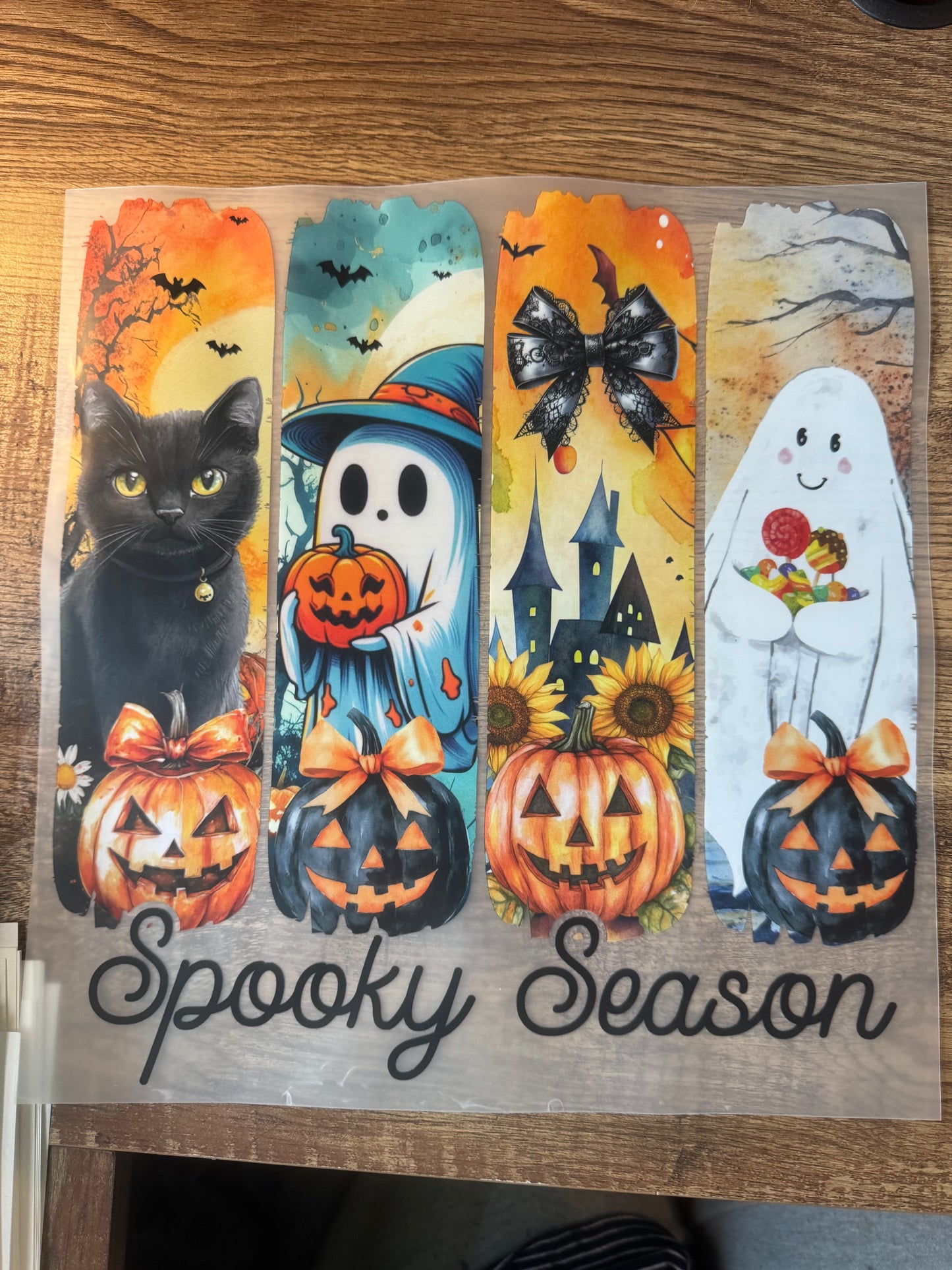 F101 Black cat spooky season