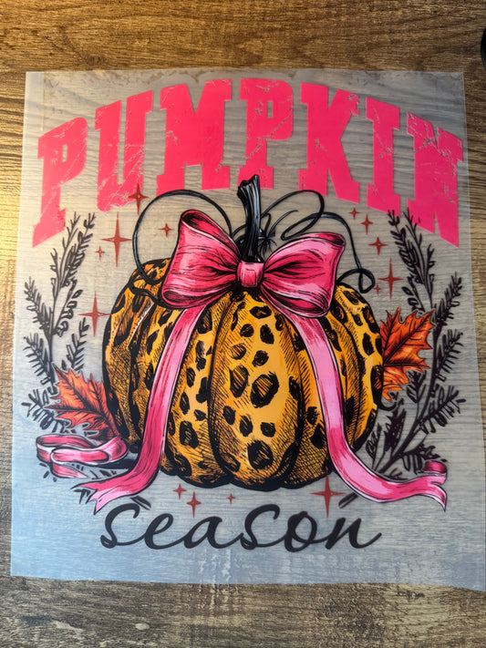 F53 Pink pumpkin season