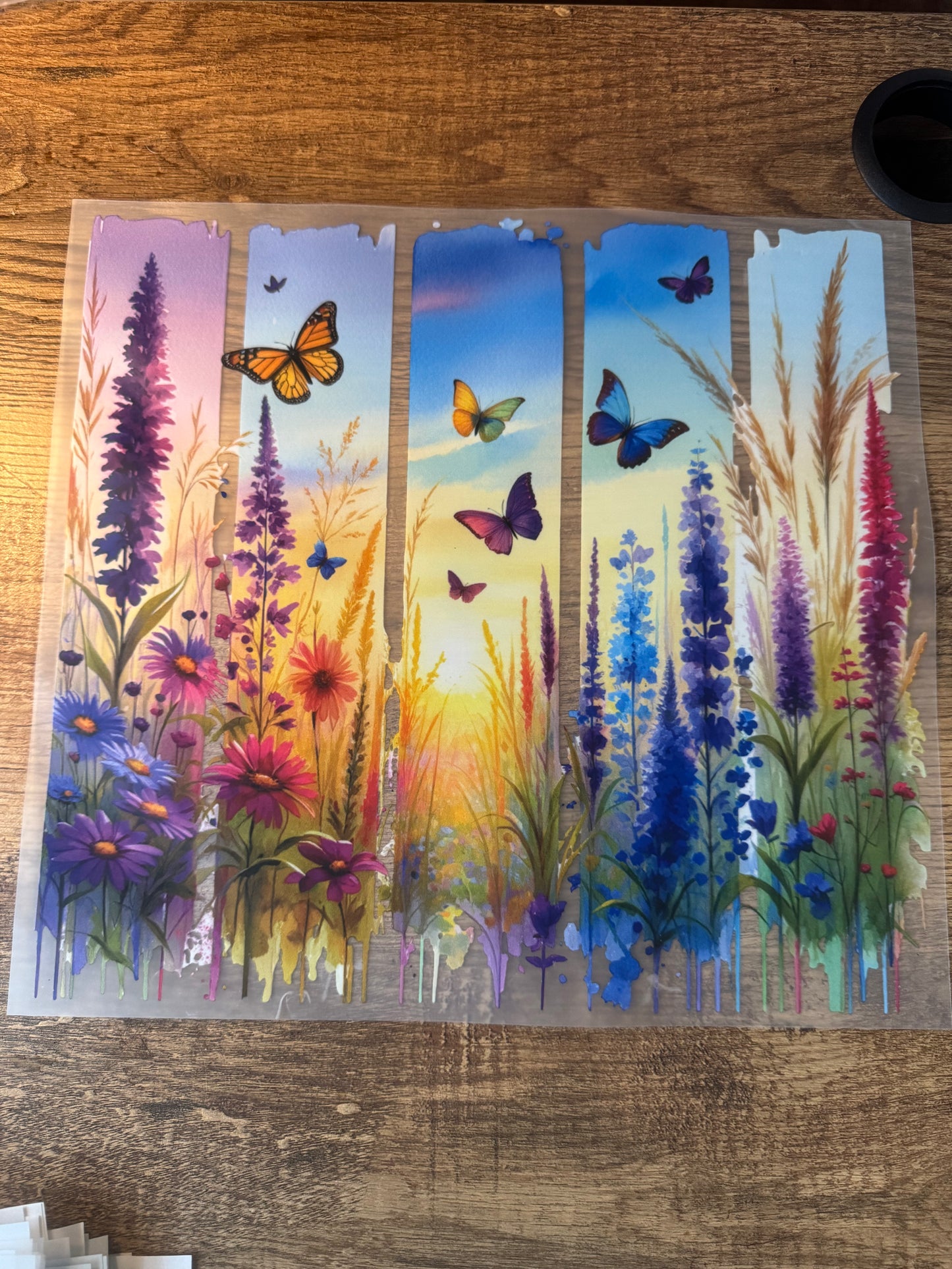 X16 Butterfly fields
