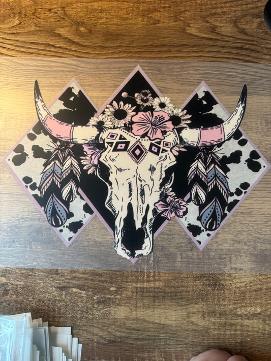 X13 western cow skull
