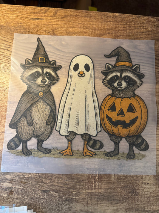 F23 Halloween racoon