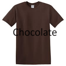 Adult T-shirts with decal of your choice