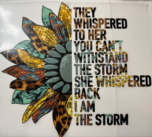 I am the storm